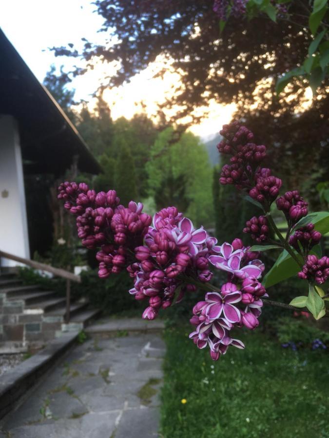 Ferienhaus Wieswald Ehrwald Exterior foto